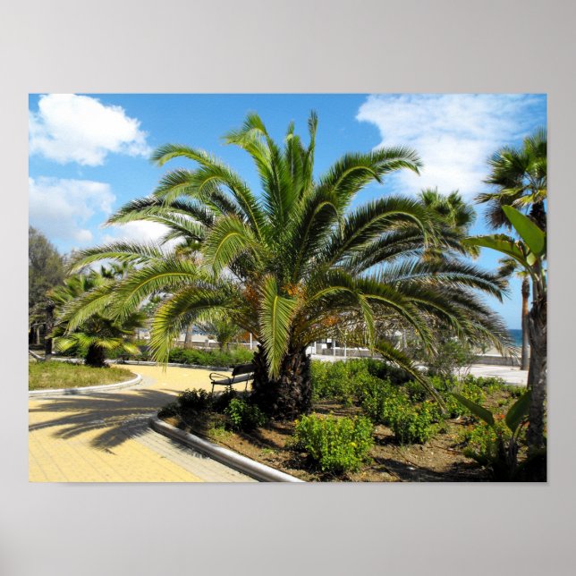 Póster Jardines de Puerto Banús (Frente)