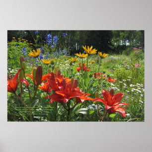 Póster Jardines del comienzo del verano, lirios asiáticos