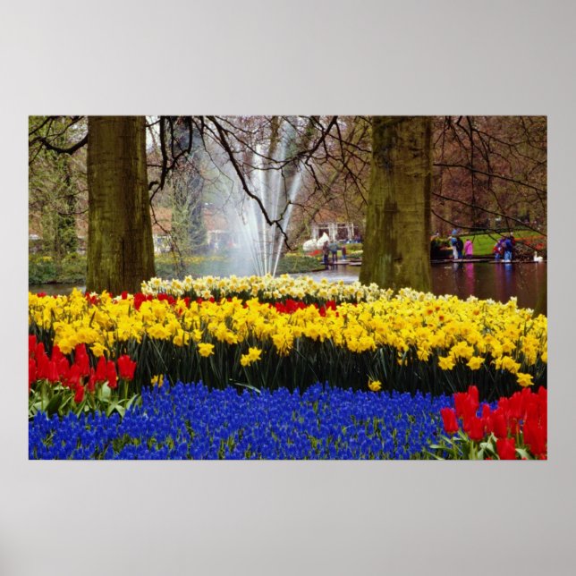 Póster jardines del Keukenhof amarillo, Amsterdam, Países (Frente)