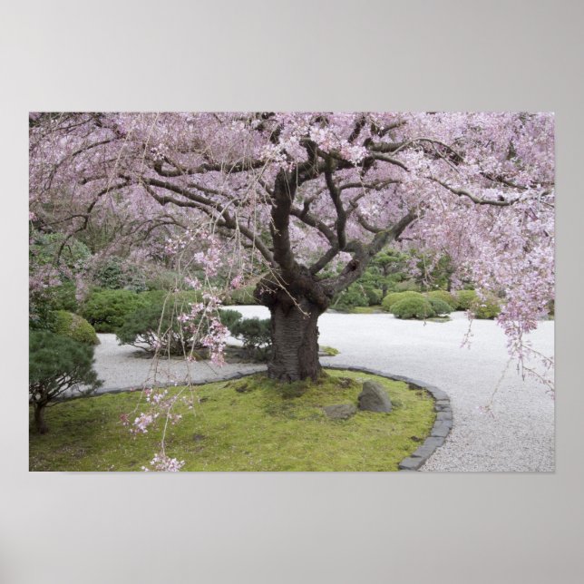 Póster Jardines japoneses de Portland, Portland, Oregón, (Frente)