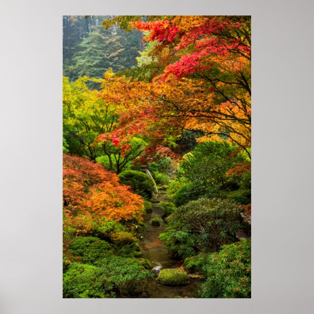 Póster Jardines Japoneses En Otoño En Portland, Oregón 2 (Frente)