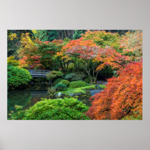 Póster Jardines Japoneses En Otoño En Portland, Oregón 3