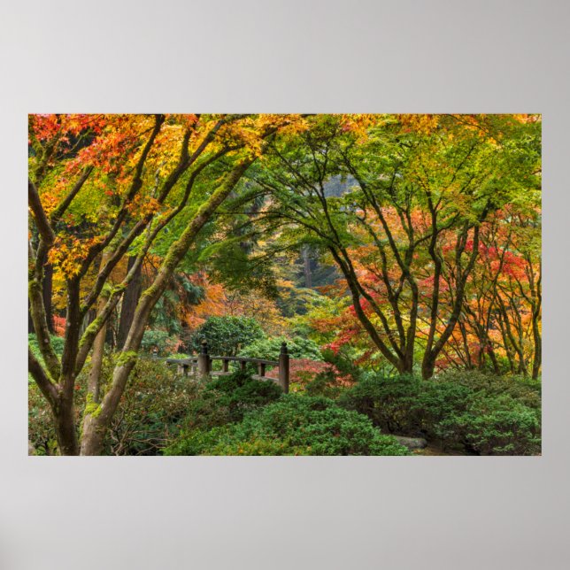 Póster Jardines Japoneses En Otoño En Portland, Oregón 4 (Frente)
