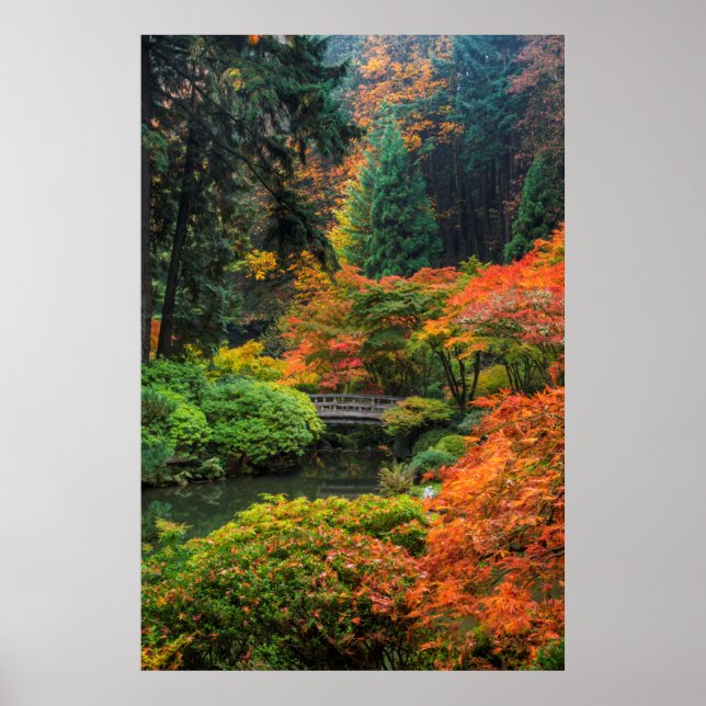Póster Jardines Japoneses En Otoño En Portland, Oregón 5 (Frente)