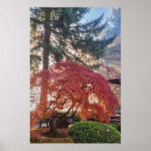 Póster Jardines Japoneses En Otoño En Portland, Oregón 6