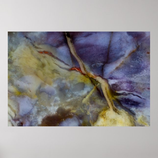 Póster Jasper violeta (Frente)