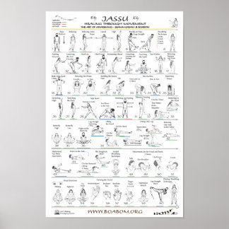 Póster Jassu: Curando a través del movimiento