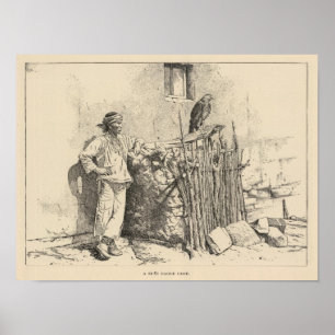 Póster Jaula del águila de Zuni