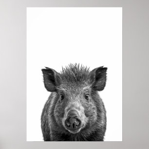 Póster Javelina Peccary pig Desert Retrato blanco negro