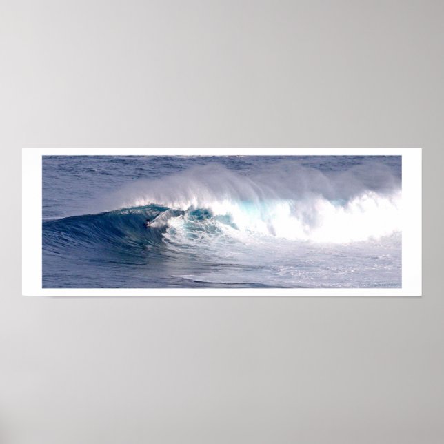 Póster Jaws con G.M. Waterman - Poster (Frente)