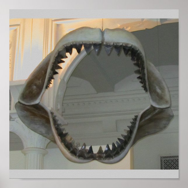 Póster Jaws prehistóricos (Frente)