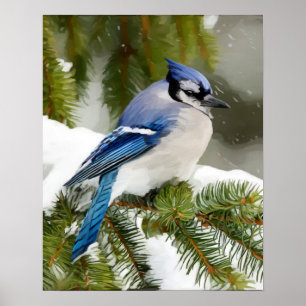 Póster Jay azul