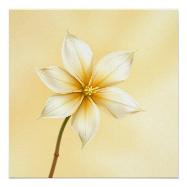 Póster jazmine flower (Anverso)