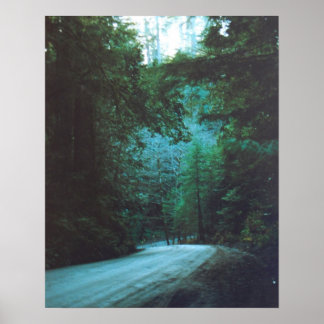 Póster Jedediah Smith Redwoods State Park, CA