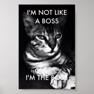Póster Jefe