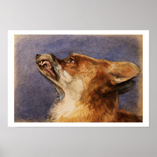 Póster Jefe de un Fox (Frente)