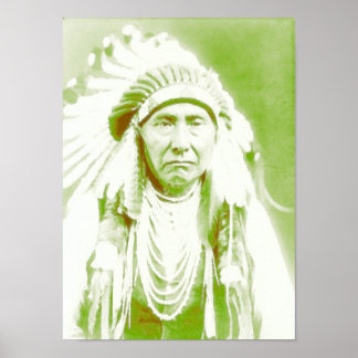 Póster Jefe Joseph Nativo Líder Estadounidense