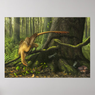 Póster Jeholornis Print