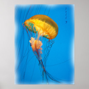 Póster jelly_2646_Paint