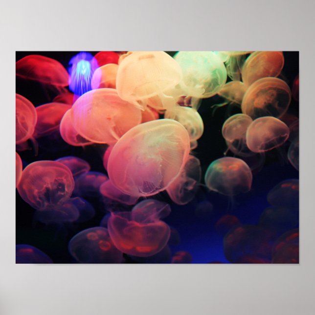 Póster Jelly Love (Frente)