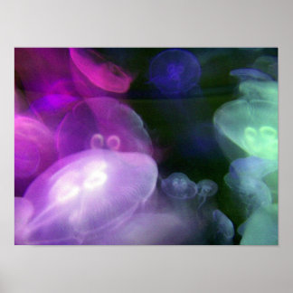 PÓSTER JELLYFISH
