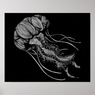 Póster Jellyfish