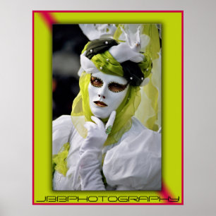 Póster jerarquía del pájaro del carnaval