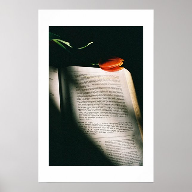 Póster Jeremiah (Frente)