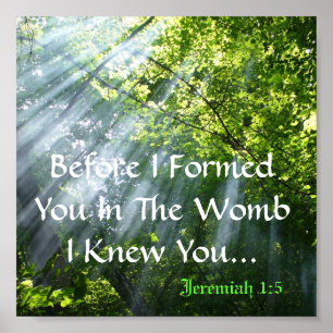 PÓSTER JEREMIAH 1:5 - WOODS