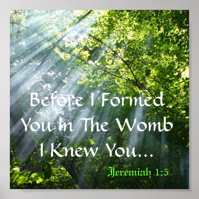 PÓSTER JEREMIAH 1:5 - WOODS (Frente)