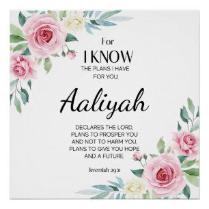 Póster Jeremiah 29:11 Rosa Rosa Personalizada