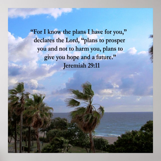 PÓSTER JEREMIAH 29:11 VERSO INSPIRADOR (Frente)