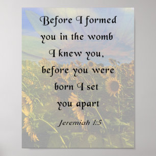 Póster Jeremías 1:5, Biblia Inspiradora Verse