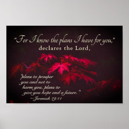 Póster Jeremías 29:11 Porque conozco los planes que tengo