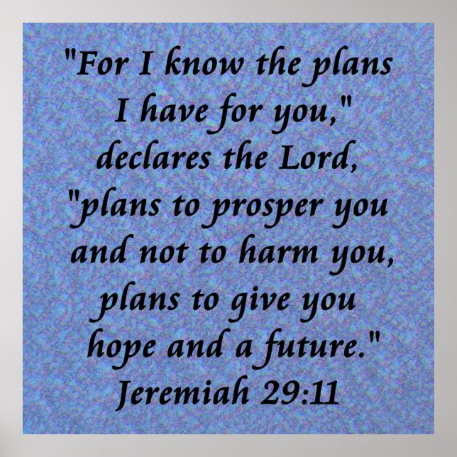 Póster jermiah 29-11 poster (Frente)