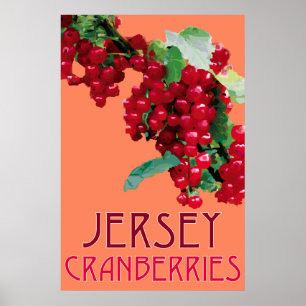 Póster Jersey_Cranberries