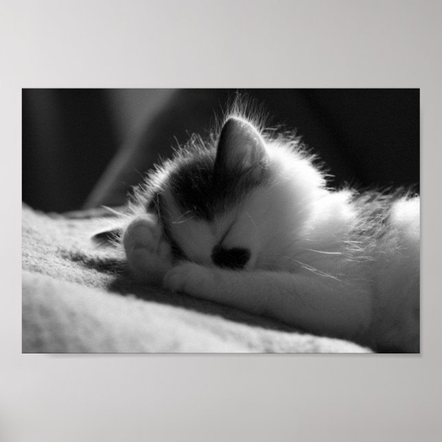 Póster Jessy Jane - Small poster (Frente)