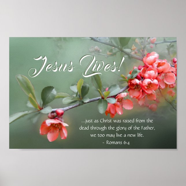 Póster Jesús Vive la Primavera Flores Biblia Verse Pascua (Frente)