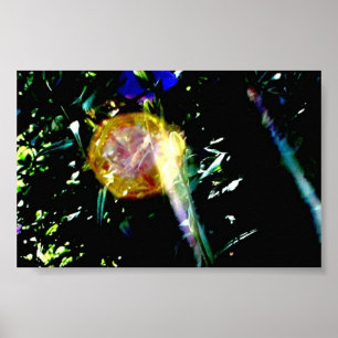 Póster Jesús y su discípulo...