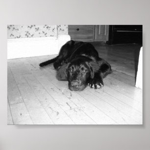 Póster Jett en la madera dura