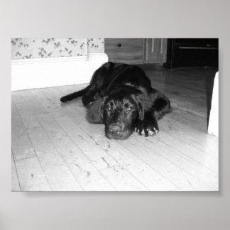 Póster Jett en madera dura