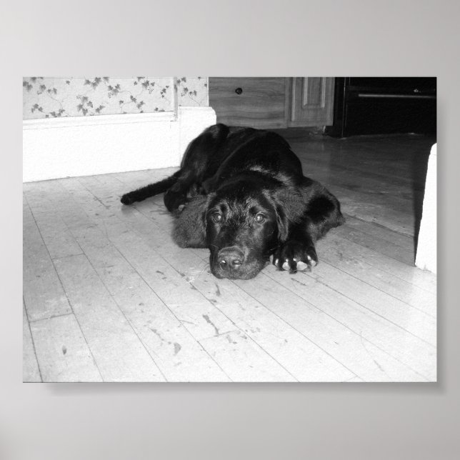 Póster Jett en madera dura (Frente)