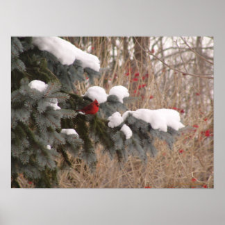 Póster Jewel Among Trees