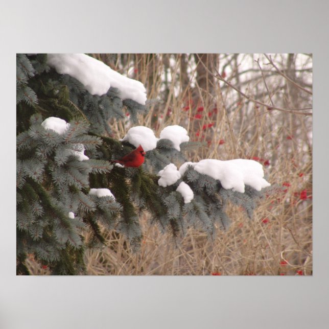 Póster Jewel Among Trees (Frente)