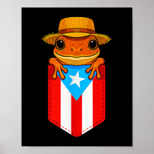 Póster Jibaro Coqui Frog Bandera Boricua