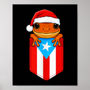 Póster Jibaro Coqui Frog Bandera De Puerto Rico Cesta Bor