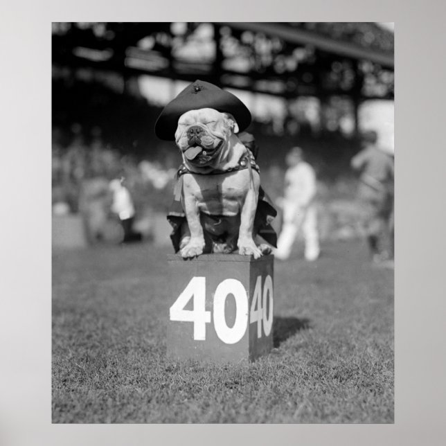Póster Jiggs de mascota del cuerpo marino: 1923 (Frente)