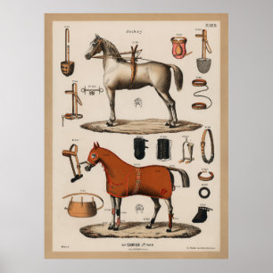 Póster Jinete de cabalgatas ecuestres vintage