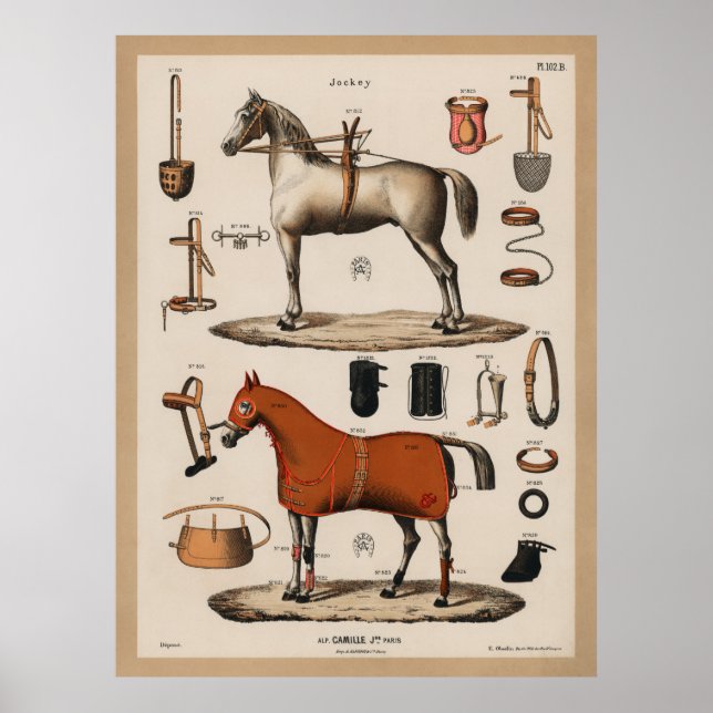 Póster Jinete de cabalgatas ecuestres vintage (Frente)