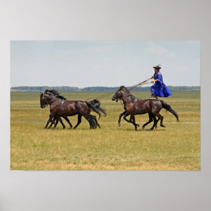 Póster Jinetes de Hungría y caballos